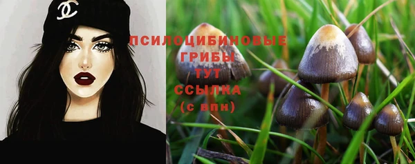 гидропоника Медногорск