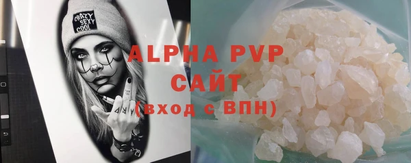 индика Медвежьегорск
