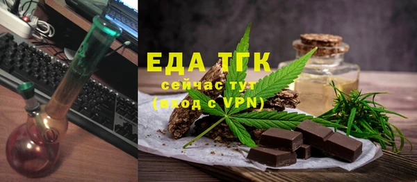 индика Медвежьегорск